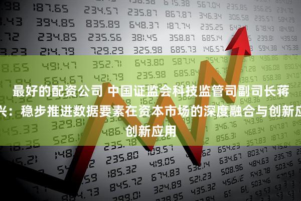 最好的配资公司 中国证监会科技监管司副司长蒋东兴：稳步推进数据要素在资本市场的深度融合与创新应用