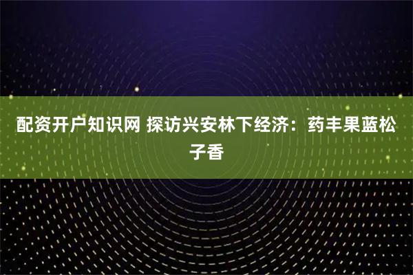 配资开户知识网 探访兴安林下经济：药丰果蓝松子香